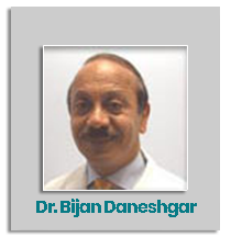 bijan_daneshgar